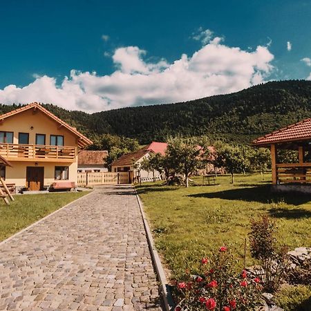 Casa Bunicilor Hotel Nucsoara  Eksteriør billede